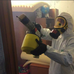 Уничтожение клопов в квартире. Тогучин